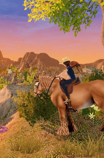 Star Equestrian