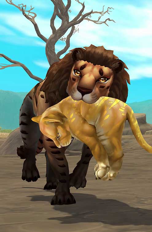 Animal Kingdoms